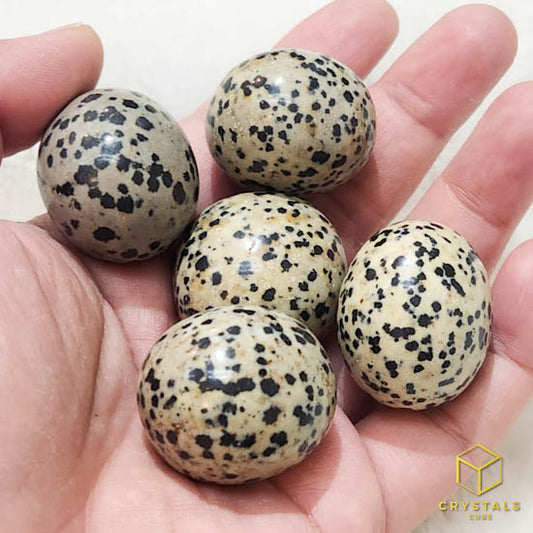 Dalmatian Jasper Round Tumble