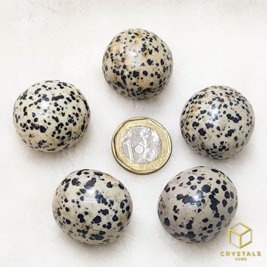 Dalmatian Jasper Round Tumble