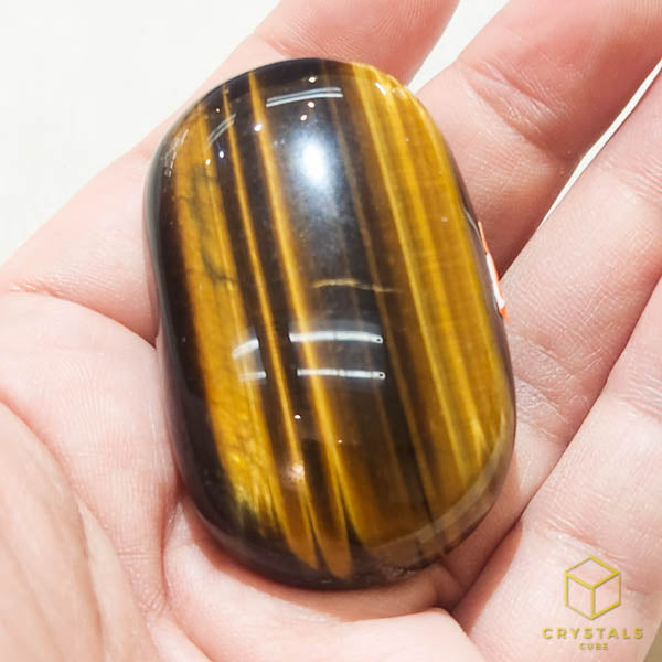 Tiger's Eye Palm Stone - Blue & Golden