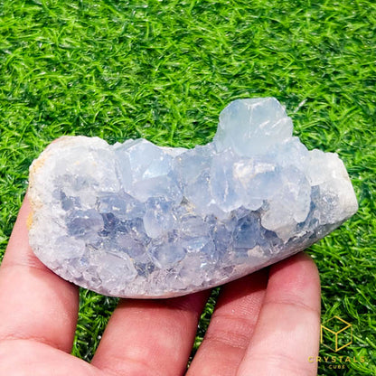 Celestite Cluster