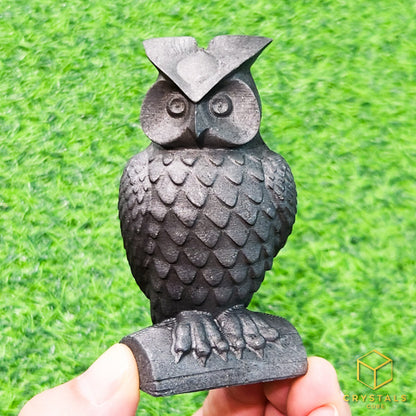 Shungite Owl