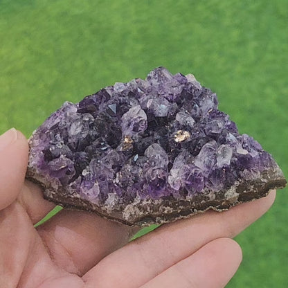 Amethyst Cluster