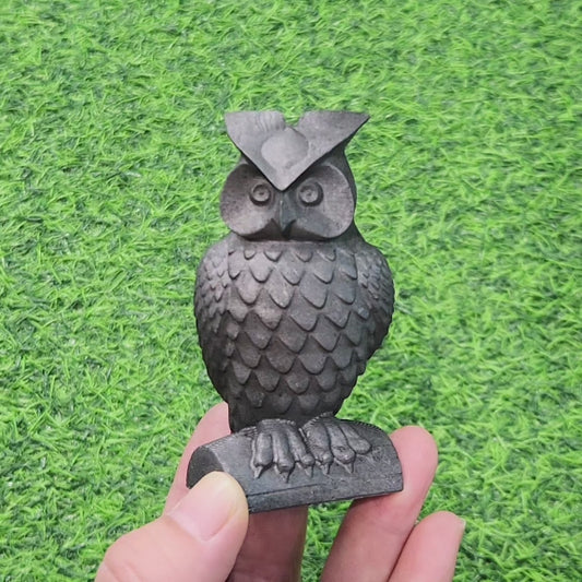 Shungite Owl