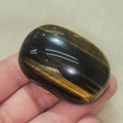 Tiger's Eye Palm Stone - Blue & Golden