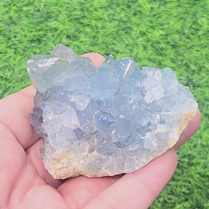 Celestite Cluster