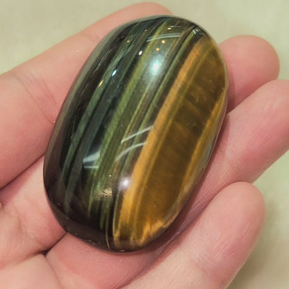 Tiger's Eye Palm Stone - Blue & Golden