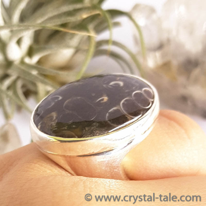 Turtella Jasper Ring