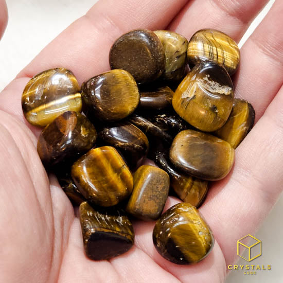 Tiger's Eye Mini Tumble - 5pcs