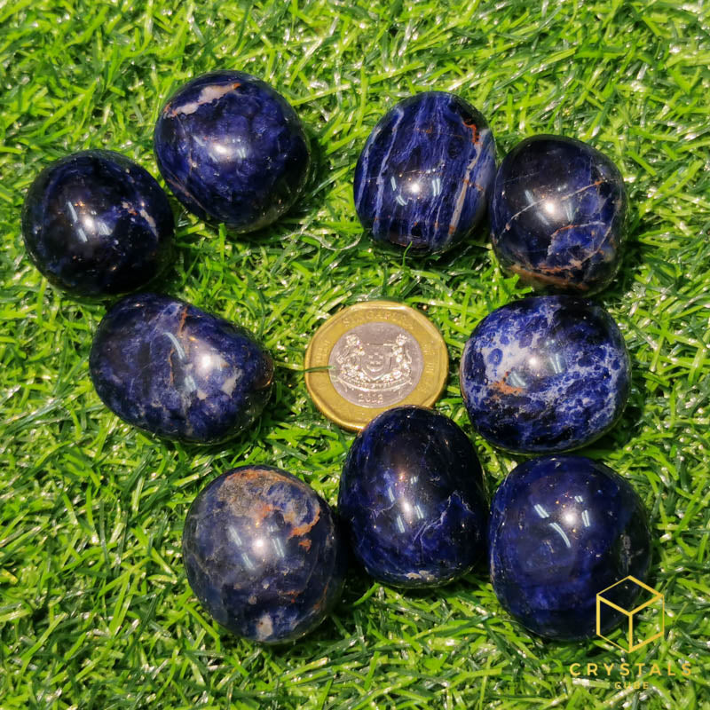 Sodalite Tumble - Premium