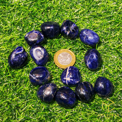 Sodalite Tumble - Premium