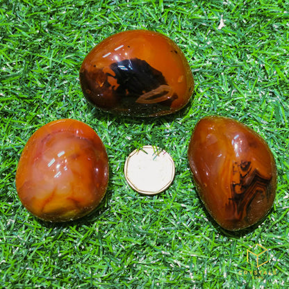 Agate (Red/Orange) & Carnelian Palm Stone