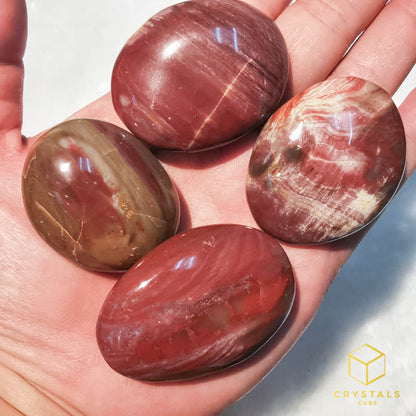 Petrified Wood Mini Palm Stone