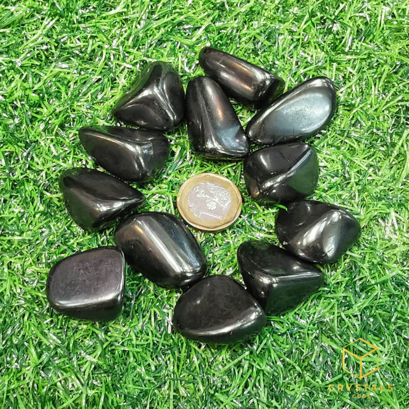 Shungite Tumble