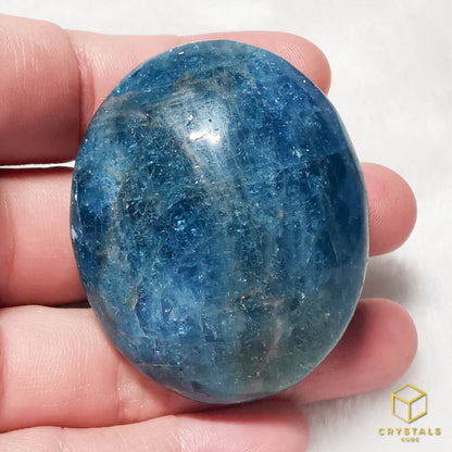 Apatite (Blue/Teal) Palm Stone